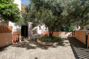 mirtagru appartamento dell'oleandro img13