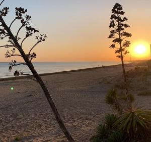 Camping Helios Triscina