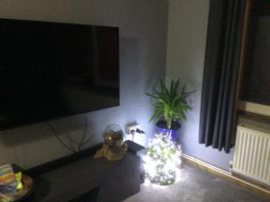 City apartment no.8