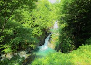 音楽と焚き火の隠れ家 渓流 滝至近のワイルド グランピング BBQ可 トヤソーデの庭 Wild Cabin with DJ Booth and Fire Pit Near Waterfalls Car Required