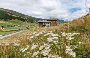 Wind Villa Genf Spa - Relax