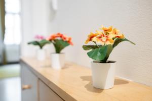 Cozy Letna Flat Walk to Center