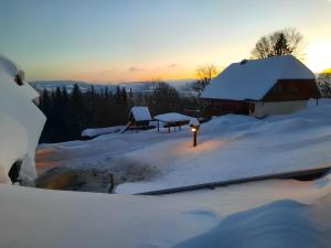 Kapfenmathishof Urlaubsbauernhof