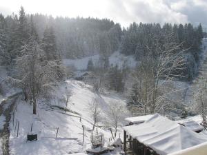 Haus Antonis