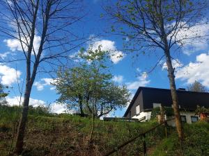 Sauerland Alm Winterberg 5 mit Pool