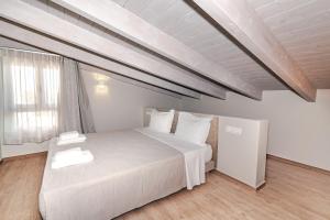 Helichrysum Lofts