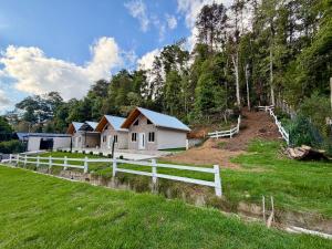 Bungalós Bosque Selah