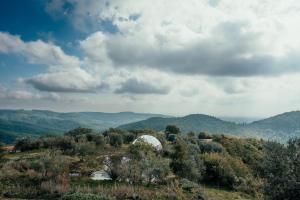Reggioli- Appartamento Cestaio