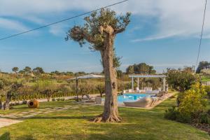 Trulli Terralunga