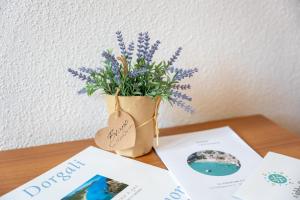 Holiday vista Montagna