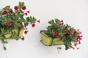 Confortevole e fresco seminterrato