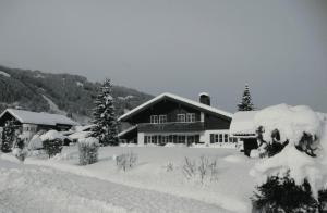 Appartement Braun 1