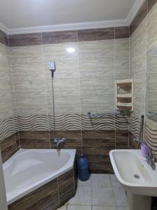 sidi Bishr luxury apartment