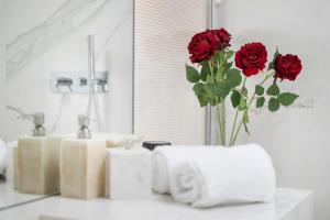 Luxury Rooftop Piazza Erbe Verona