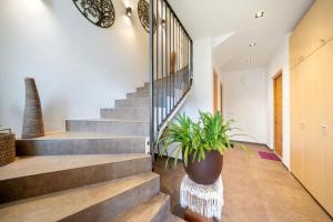 Apartment Fuchsberger