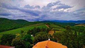 Montepozzalino
