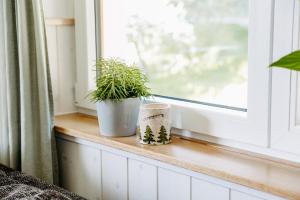Ferienwohnung deine Rauszeit