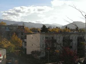 Seepark Falk Wohnung Nr -3-