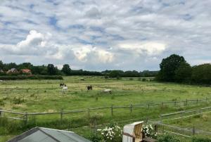 Ferienwohnung Traumblick