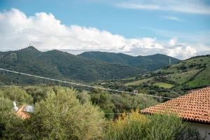 Casa Lucia San Teodoro 2 img19