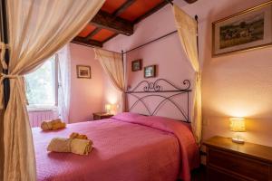 La pieve - Rose