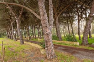 Podere La Grande Quercia
