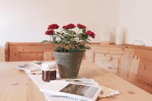 Apartment Toni - Obermösslhof