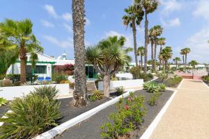 Jardin Del Sol 12