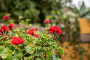Romantica Corte Degli Estensi