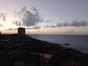 Ulivi 17 img33