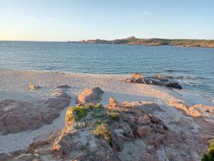 Ulivi 17 img35