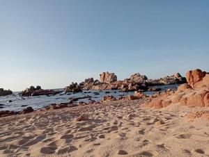 Ulivi 17 img31