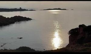 Ulivi 17 img37