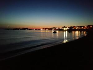 Ulivi 17 img27