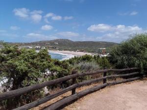 Ulivi 17 img24