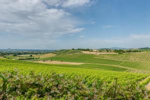 Casa Leccio relax con vista