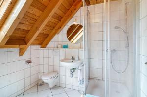 Beutenmühle Straussenfarm Dach