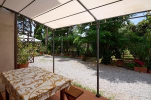 Antichi Palmenti - Alloro