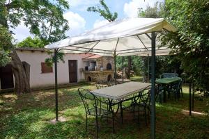 Antichi Palmenti - Alloro