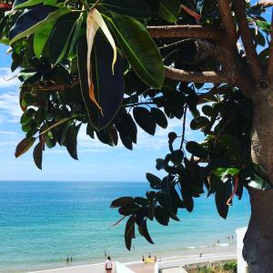 Studio Sardinha-1 min walk to beach