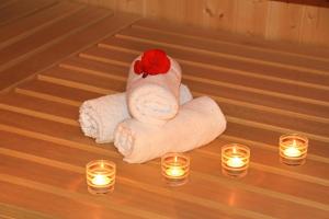 Alpenchalet Niederkofler Isabella