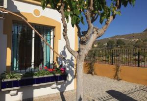 Villa Mediterráneo