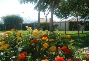 Villa Mediterráneo