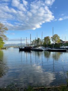 Apartament dwupoziomowy Premium nad jeziorem z dostępem do sauny siłowni