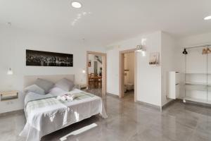 Modern Loft Las Palmas views 2 suit