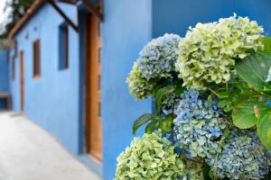 Casa Azul del Roque Negro