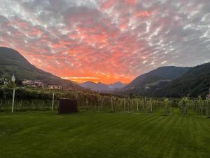 Trianglhof surrounded by vineyards