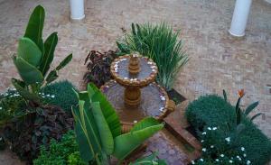 Dar Eddihi Essaouira