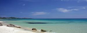Nido 3 img16