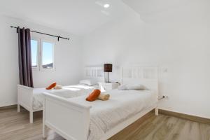 Ático deluxe Corralejo centro